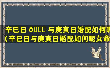 辛巳日 🐎 与庚寅日婚配如何呢（辛巳日与庚寅日婚配如何呢女命）